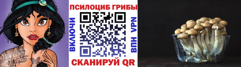 Псилоцибиновые грибы GOLDEN TEACHER  Иркутск 