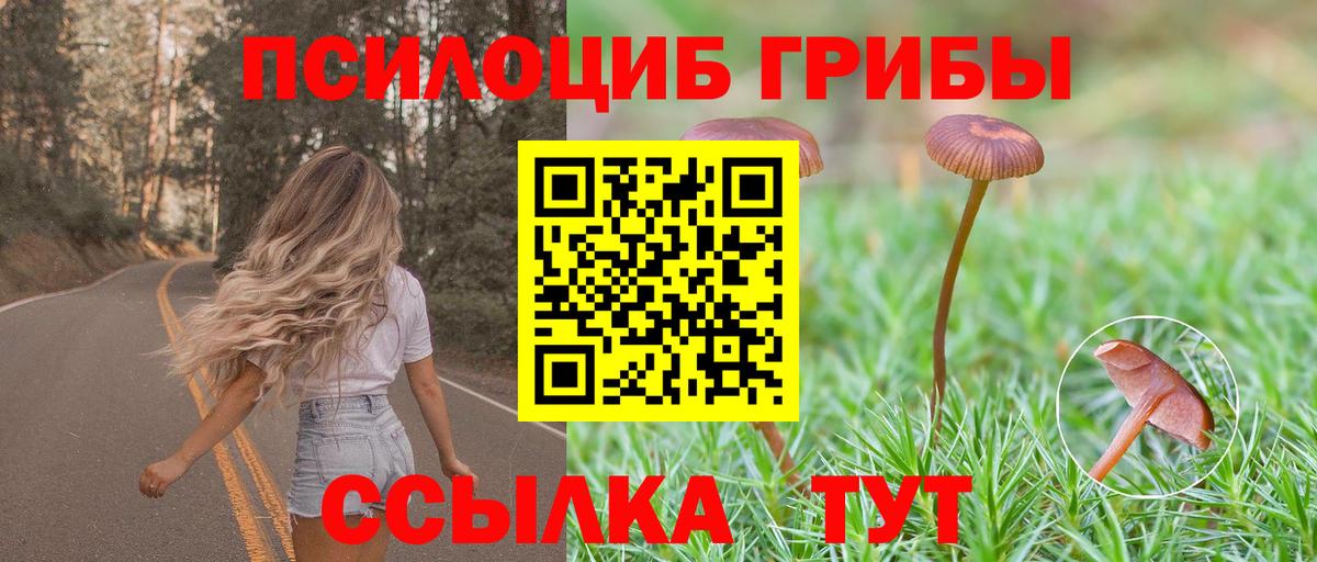 Псилоцибиновые грибы Psilocybine cubensis Иркутск