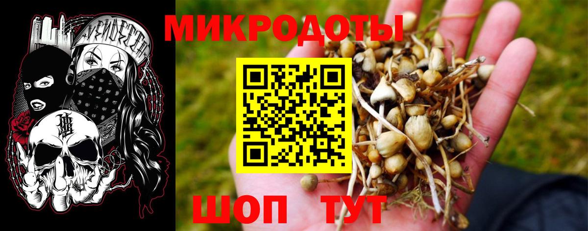 где продают   Псилоцибиновые грибы GOLDEN TEACHER  Вход с VPN  Иркутск 